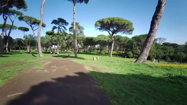 Güneşli Bir Günde Roma Daki Villa Pamphili Parkının Genel Görünümü — Stok video