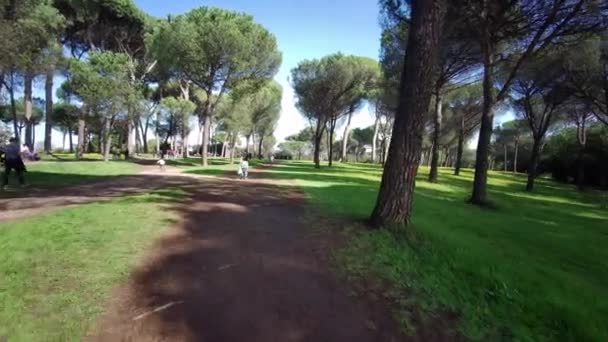晴れた日にローマのパンフィリ別荘の公園の概要 高品質4K映像 — ストック動画
