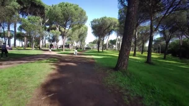 Overzicht Van Het Park Van Villa Pamphili Rome Zonnige Dag — Stockvideo