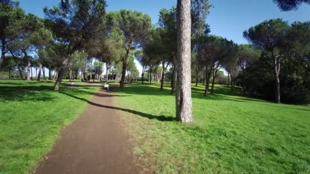 Overzicht Van Het Park Van Villa Pamphili Rome Zonnige Dag — Stockvideo