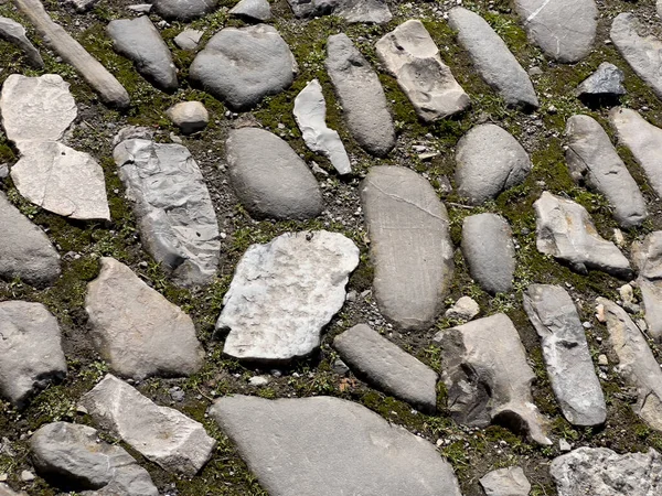 Средневековый Тротуар Речными Камнями Высокое Качество Фото — стоковое фото