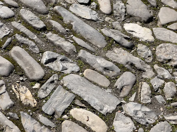Средневековый Тротуар Речными Камнями Высокое Качество Фото — стоковое фото
