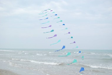 Cervia, Ravenna - İtalya: 2019 01 05 ARTEVENTO CERVIA - Uluslararası Uçurtmasız Festival. Yüksek kalite fotoğraf
