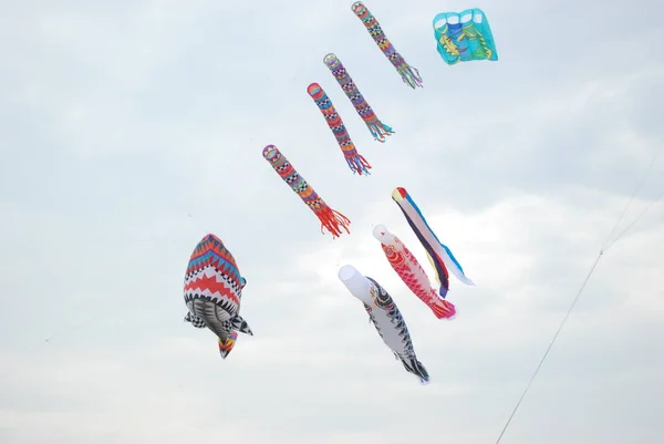 Cervia Rawenna Włochy 2019 Artevento Cervia International Kite Free Festival — Zdjęcie stockowe