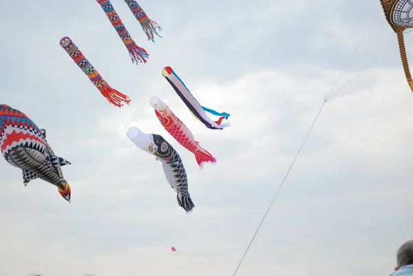 Cervia Rawenna Włochy 2019 Artevento Cervia International Kite Free Festival — Zdjęcie stockowe