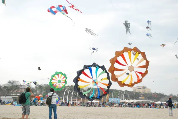 Cervia Ravenna Italia 2019 Artevento Cervia Girandola International Kite Free — Foto Stock