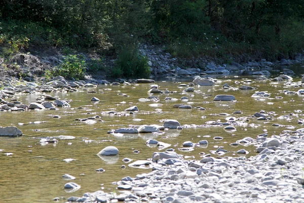 Enza Torrent Reggio Emilia Olaszország Tartományban Napsütéses Napokban Kiváló Minőségű — Stock Fotó