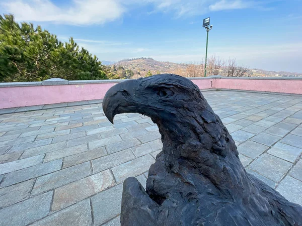 Pinerolo Turin 2021 Bronze Statue Sculpture Exhibition City Eagle High — Stock Photo, Image