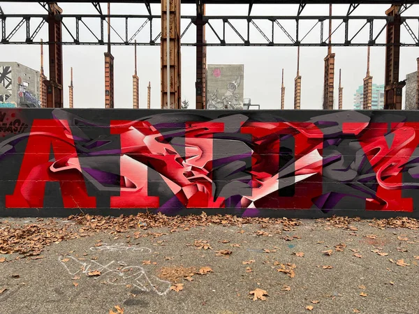 Torino Olaszország 2022 Dora Egykori Városi Park Ipari Falu Graffitivel — Stock Fotó