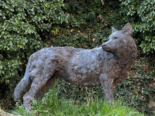 Pinerolo Turim 2021 Estátua Bronze Para Exposição Esculturas Torno Lobo — Fotografia de Stock