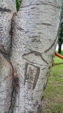 Çocuk çizimleriyle işlenmiş bir huş sandığı. Yüksek kalite fotoğraf