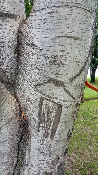 Çocuk çizimleriyle işlenmiş bir huş sandığı. Yüksek kalite fotoğraf