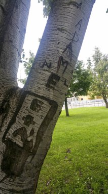 Çocuk çizimleriyle işlenmiş bir huş sandığı. Yüksek kalite fotoğraf