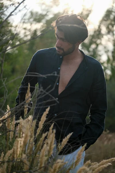 Handsome Italian Dark Haired Guy Shirt Dry Grass High Quality — Stockfoto