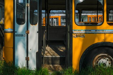 abandoned school bus tram bus interior with leaves branches vegetation. High quality photo