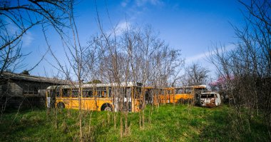 Terk edilmiş okul otobüsü durağı. Yüksek kalite fotoğraf