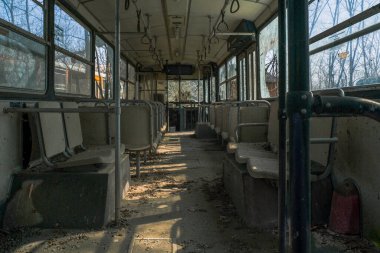 Terk edilmiş okul otobüsü içi yapraklı bitki örtüsüyle dolu. Yüksek kalite fotoğraf
