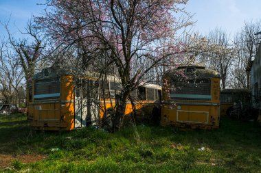 Terk edilmiş okul otobüsü durağı. Yüksek kalite fotoğraf