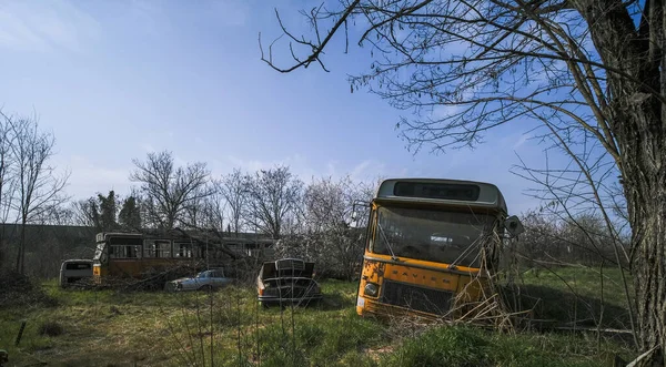 Terk edilmiş okul otobüsü durağı. Yüksek kalite fotoğraf