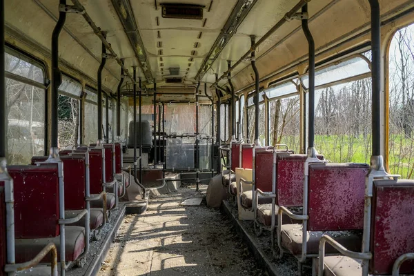 abandoned school bus tram bus interior with leaves branches vegetation. High quality photo