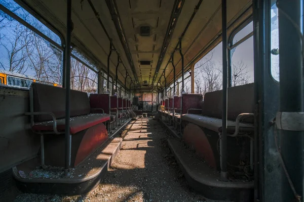 abandoned school bus tram bus interior with leaves branches vegetation. High quality photo