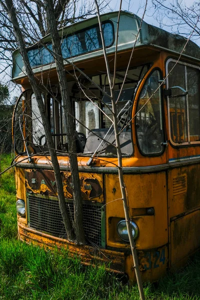 Ônibus Escolar Abandonado Ônibus Elétrico Interior Com Folhas Ramos Vegetação — Fotografia de Stock