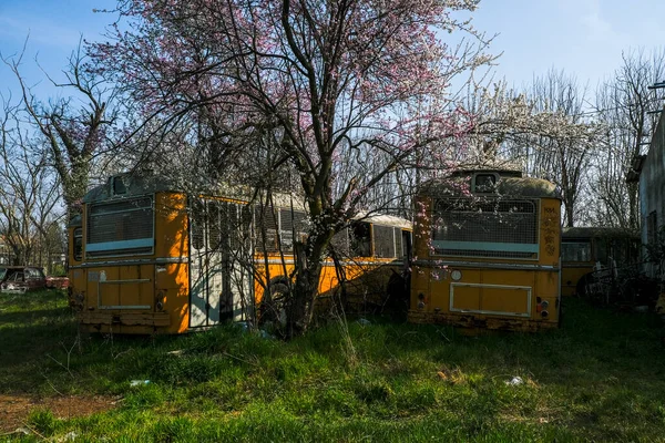 Terk edilmiş okul otobüsü durağı. Yüksek kalite fotoğraf
