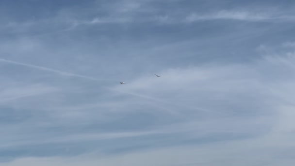 Uçan Küçük Yolcu Uçağı Mavi Gökyüzünde Bir Planör Çeker Yüksek — Stok video