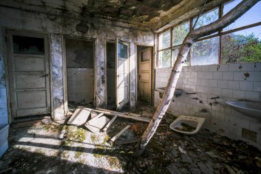 tired with wreckage and collapsed roof in abandoned house. High quality photo