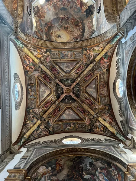 Parma Katedra Freski Sufit Muchy Wysokiej Jakości Zdjęcie — Zdjęcie stockowe