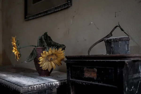 Flowerpot Table Dust Abandoned House High Quality Photo —  Fotos de Stock