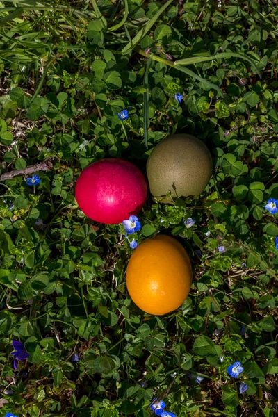 Colored Eggs Easter Green Field High Quality Photo — Stock Photo, Image