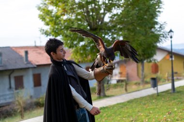 Ortaçağ elbiseli şahin ve Harris şahini. Yüksek kalite fotoğraf