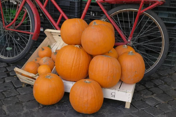 big orange pumpkins to carve for halloween. High quality photo