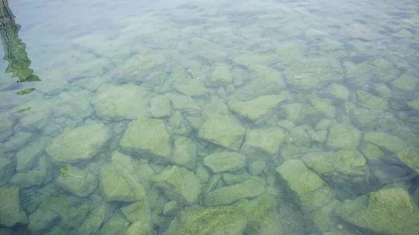 Pedras Cobertas Com Algas Fundo Lago Foto Alta Qualidade — Fotografia de Stock