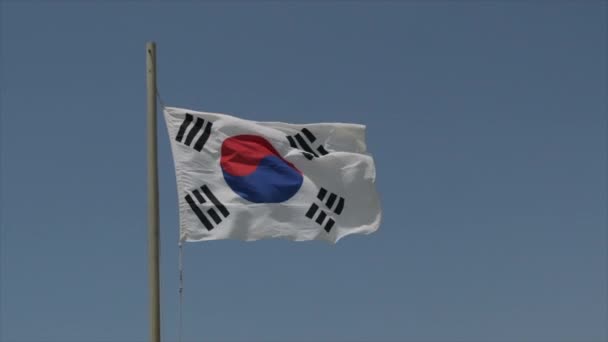 Południowokoreańska Flaga Falująca Zwolnionym Tempie Wysokiej Jakości Materiał — Wideo stockowe