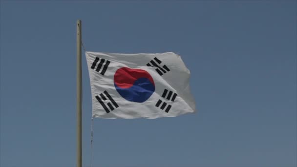 Южно Корейский Флаг Размахивающий Ветром Замедленной Съемке Высококачественные Кадры — стоковое видео