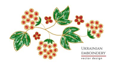 Ukrayna viburum böğürtlen nakış süsü. 