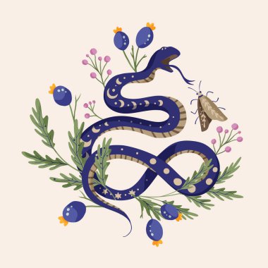 Snake illustrations vector design alchemy flower. Python tropical vintage shirt print