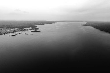 İnanılmaz Amazon ve orman. Siyah beyaz fotoğraf.