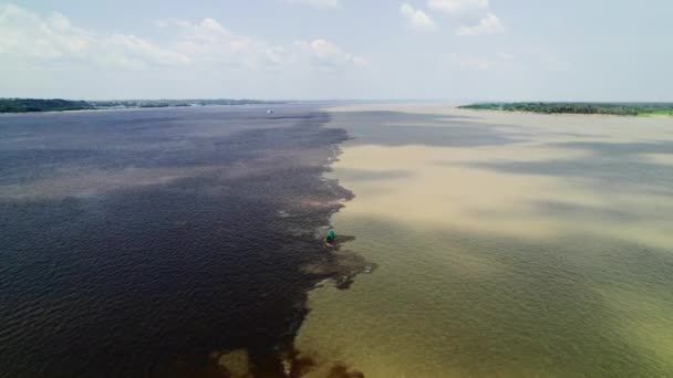 Fiumi nuziali in Amazzonia. Rio Negro, Brasile. — Video Stock