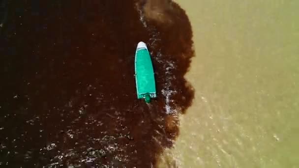 Лодка плывет по границе двух рек Амазонки. — стоковое видео