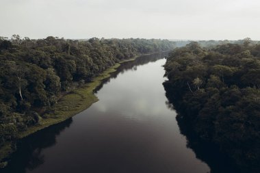 Nehir yatağı ve orman.