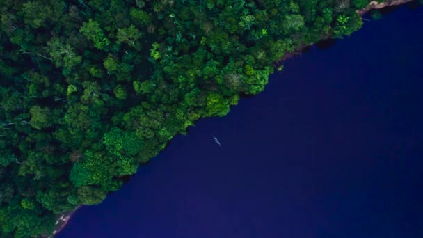 Das Boot schwimmt auf dem Fluss im Dschungel. Draufsicht von der Drohne. — Stockvideo