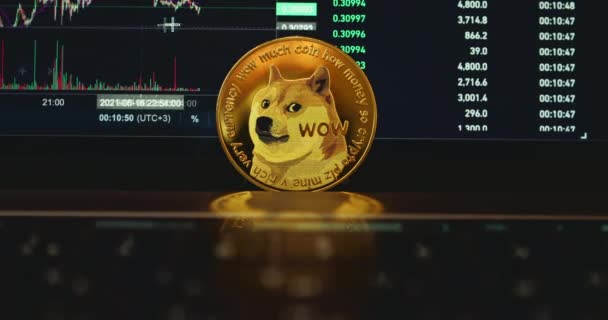 Курс криптовалюты DOGE coin. Монета на фоне графика трейдеров. — стоковое видео