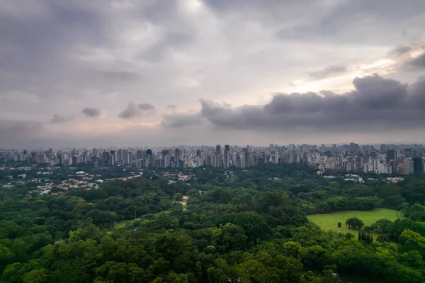 Parque em São Paulo — Fotografia de Stock