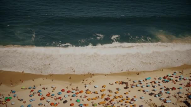 Many Tourists Relax Ocean Beach High Quality Footage — Stock Video