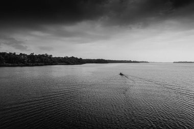 Amazon nehri. Bir yükseklikten fotoğraf.