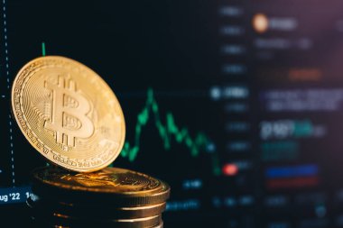 Cryptocurrency bull market. Bitcoin chart. High quality photo
