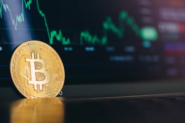 Cryptocurrency trading using your phone or laptop. Exchange charts. High quality photo